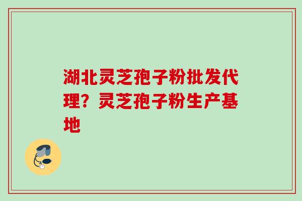 湖北灵芝孢子粉批发代理？灵芝孢子粉生产基地
