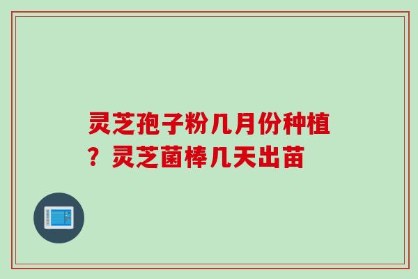 灵芝孢子粉几月份种植？灵芝菌棒几天出苗