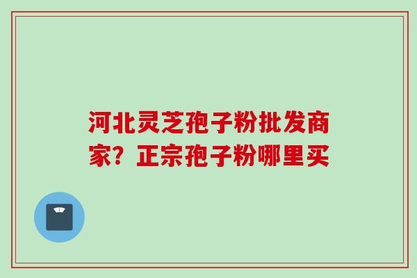 河北灵芝孢子粉批发商家？正宗孢子粉哪里买