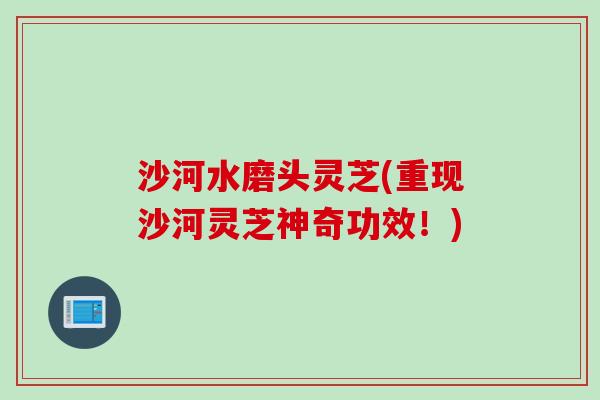 沙河水磨头灵芝(重现沙河灵芝神奇功效！)