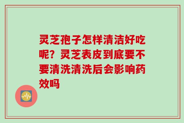 灵芝孢子怎样清洁好吃呢？灵芝表皮到底要不要清洗清洗后会影响药效吗