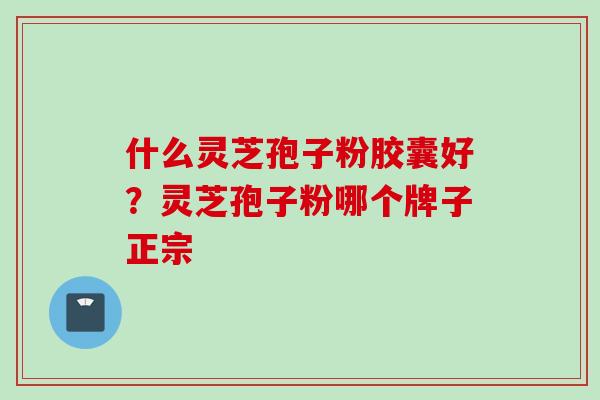 什么灵芝孢子粉胶囊好？灵芝孢子粉哪个牌子正宗