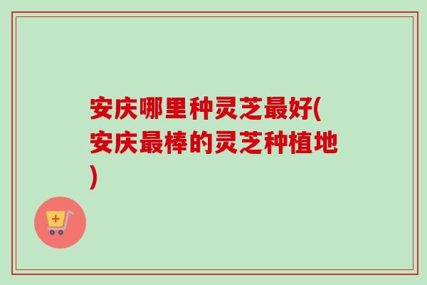 安庆哪里种灵芝最好(安庆最棒的灵芝种植地)