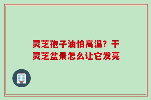 灵芝孢子油怕高温？干灵芝盆景怎么让它发亮