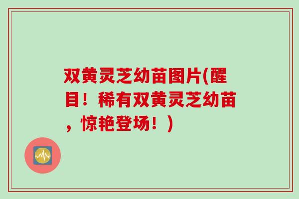 双黄灵芝幼苗图片(醒目!稀有双黄灵芝幼苗,惊艳登场!) 双黄灵芝幼苗图片(醒目!稀有双黄灵芝幼苗,惊艳登场!)