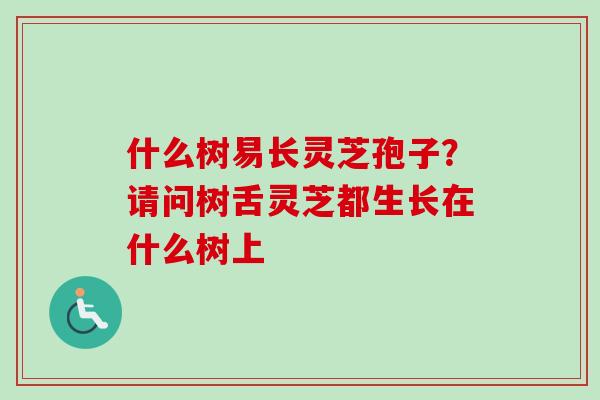 什么树易长灵芝孢子？请问树舌灵芝都生长在什么树上