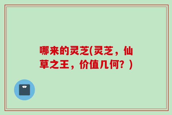 哪来的灵芝(灵芝，仙草之王，价值几何？)