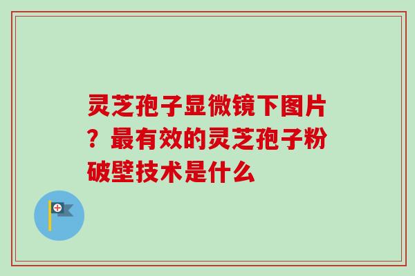 灵芝孢子显微镜下图片?有效的灵芝孢子粉破壁技术是什么 灵芝孢子显微镜下图片?有效的灵芝孢子粉破壁技术是什么