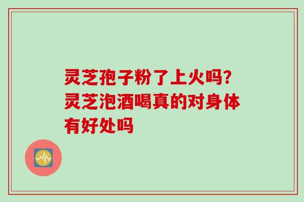 灵芝孢子粉了上火吗?灵芝泡酒喝真的对身体有好处吗 灵芝孢子粉了上火吗?灵芝泡酒喝真的对身体有好处吗