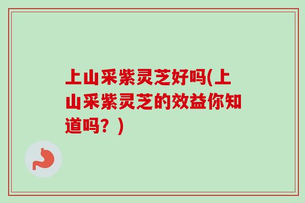 上山采紫灵芝好吗(上山采紫灵芝的效益你知道吗?) 上山采紫灵芝好吗(上山采紫灵芝的效益你知道吗?)