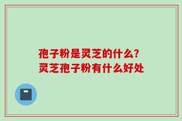 孢子粉是灵芝的什么?灵芝孢子粉有什么好处 孢子粉是灵芝的什么?灵芝孢子粉有什么好处