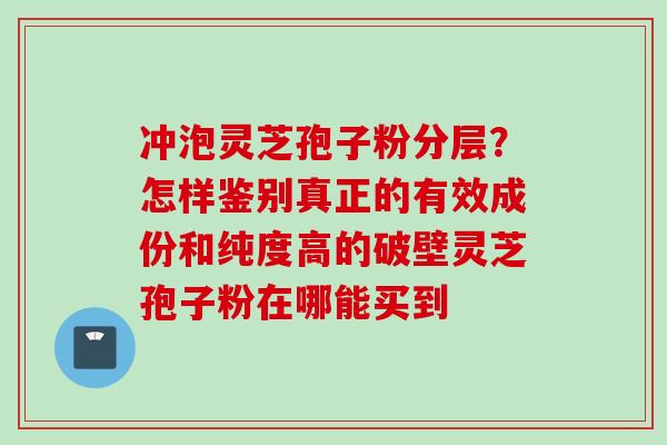 冲泡灵芝孢子粉分层？怎样鉴别真正的有效成份和纯度高的破壁灵芝孢子粉在哪能买到