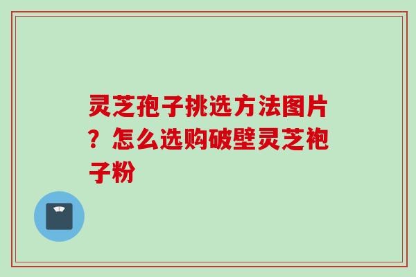 灵芝孢子挑选方法图片?怎么选购破壁灵芝袍子粉 灵芝孢子挑选方法图片?怎么选购破壁灵芝袍子粉