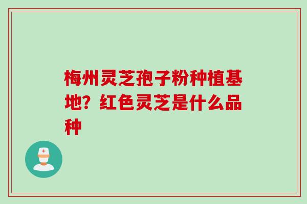 梅州灵芝孢子粉种植基地?红色灵芝是什么品种 梅州灵芝孢子粉种植基地?红色灵芝是什么品种