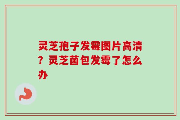 灵芝孢子发霉图片高清?灵芝菌包发霉了怎么办 灵芝孢子发霉图片高清?灵芝菌包发霉了怎么办