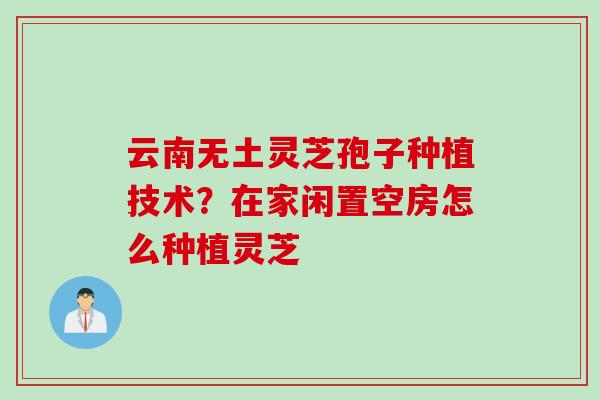 云南无土灵芝孢子种植技术?在家闲置空房怎么种植灵芝 云南无土灵芝孢子种植技术?在家闲置空房怎么种植灵芝