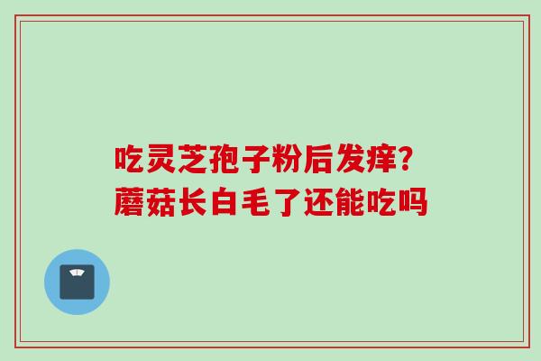 吃灵芝孢子粉后发痒?蘑菇长白毛了还能吃吗 吃灵芝孢子粉后发痒?蘑菇长白毛了还能吃吗