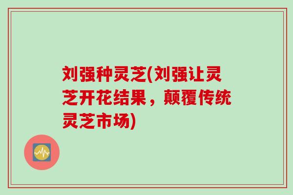 刘强种灵芝(刘强让灵芝开花结果,颠覆传统灵芝市场) 刘强种灵芝(刘强让灵芝开花结果,颠覆传统灵芝市场)