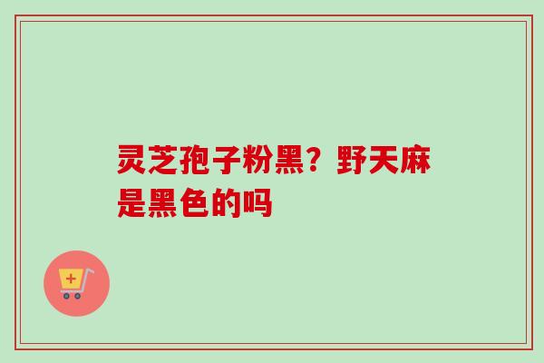 灵芝孢子粉黑？野天麻是黑色的吗