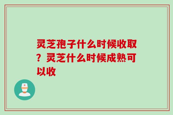 灵芝孢子什么时候收取？灵芝什么时候成熟可以收