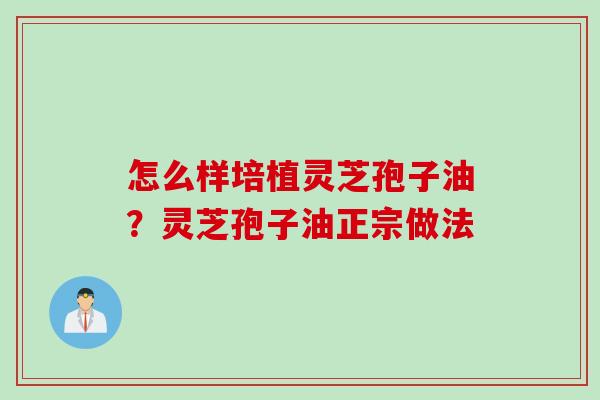 怎么样培植灵芝孢子油?灵芝孢子油正宗做法 怎么样培植灵芝孢子油?灵芝孢子油正宗做法