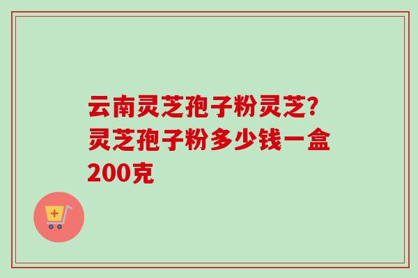 云南灵芝孢子粉灵芝？灵芝孢子粉多少钱一盒200克