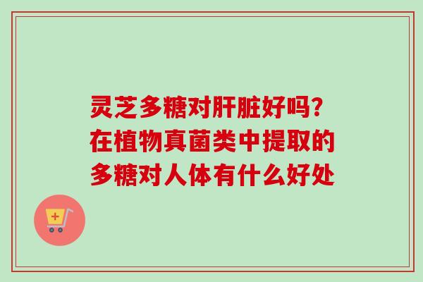 灵芝多糖对肝脏好吗？在植物真菌类中提取的多糖对人体有什么好处