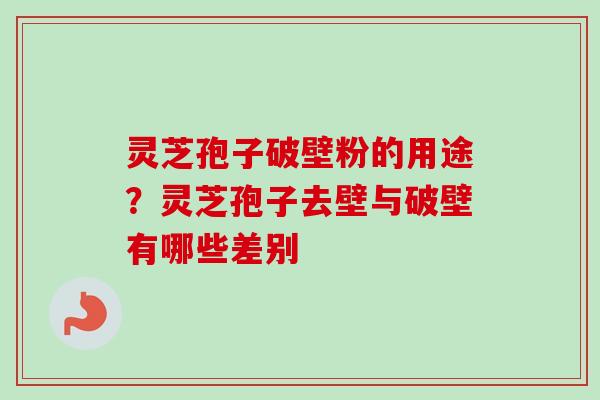 灵芝孢子破壁粉的用途？灵芝孢子去壁与破壁有哪些差别