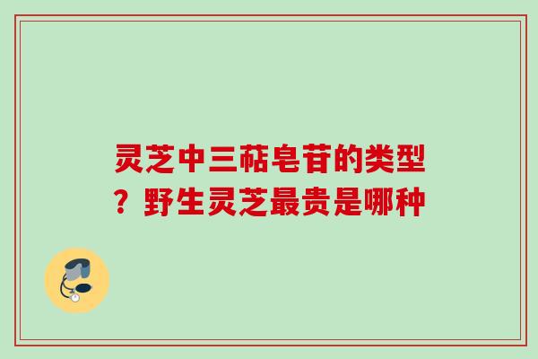 灵芝中三萜皂苷的类型？野生灵芝最贵是哪种