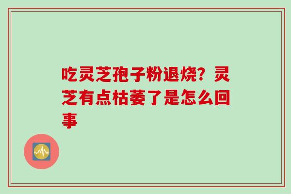 吃灵芝孢子粉退烧？灵芝有点枯萎了是怎么回事