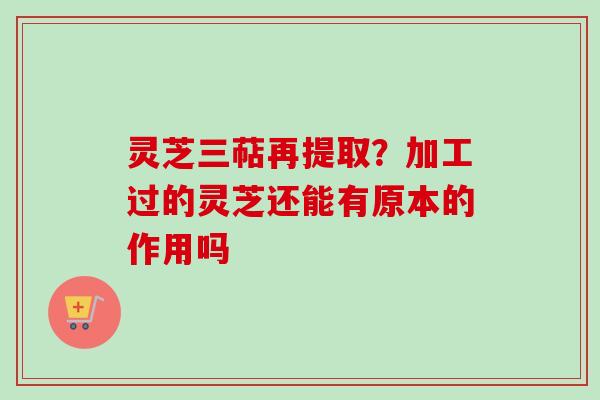 灵芝三萜再提取？加工过的灵芝还能有原本的作用吗