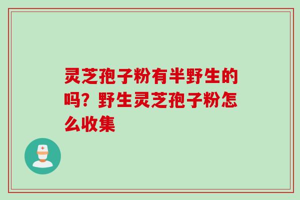 灵芝孢子粉有半野生的吗?野生灵芝孢子粉怎么收集 灵芝孢子粉有半野生的吗?野生灵芝孢子粉怎么收集