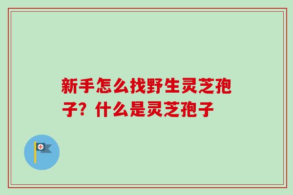新手怎么找野生灵芝孢子？什么是灵芝孢子