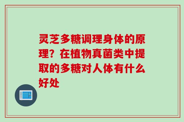 灵芝多糖调理身体的原理？在植物真菌类中提取的多糖对人体有什么好处