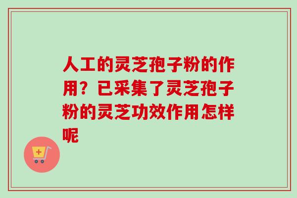 人工的灵芝孢子粉的作用？已采集了灵芝孢子粉的灵芝功效作用怎样呢