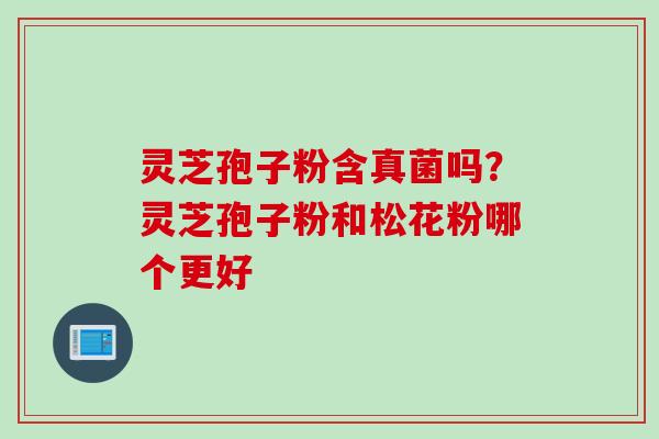 灵芝孢子粉含真菌吗？灵芝孢子粉和松花粉哪个更好