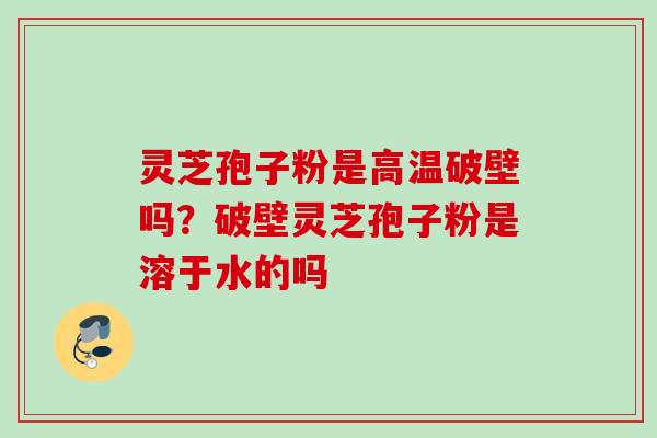 灵芝孢子粉是高温破壁吗？破壁灵芝孢子粉是溶于水的吗