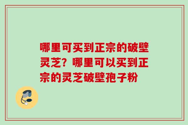 哪里可买到正宗的破壁灵芝?哪里可以买到正宗的灵芝破壁孢子粉 哪里可买到正宗的破壁灵芝?哪里可以买到正宗的灵芝破壁孢子粉