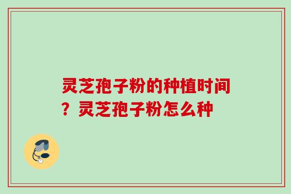 灵芝孢子粉的种植时间？灵芝孢子粉怎么种