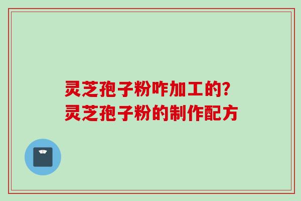 灵芝孢子粉咋加工的？灵芝孢子粉的制作配方