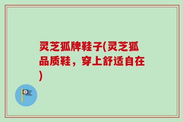 灵芝狐牌鞋子(灵芝狐品质鞋，穿上舒适自在)