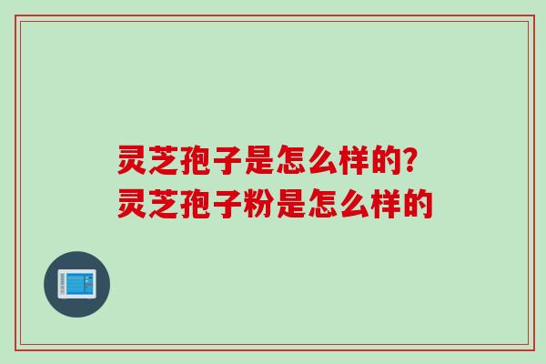 灵芝孢子是怎么样的？灵芝孢子粉是怎么样的