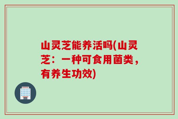 山灵芝能养活吗(山灵芝：一种可食用菌类，有养生功效)