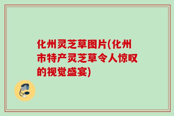 化州灵芝草图片(化州市特产灵芝草令人惊叹的视觉盛宴)