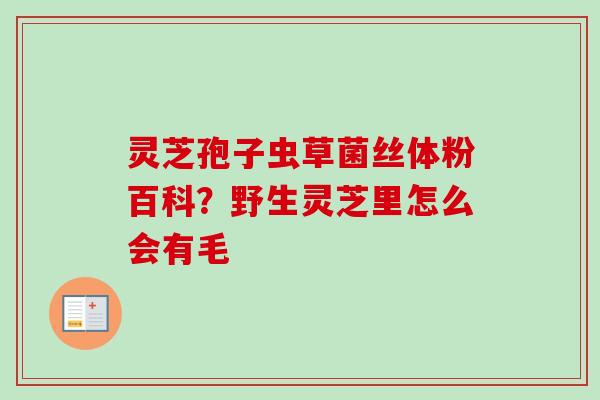 灵芝孢子虫草菌丝体粉百科？野生灵芝里怎么会有毛