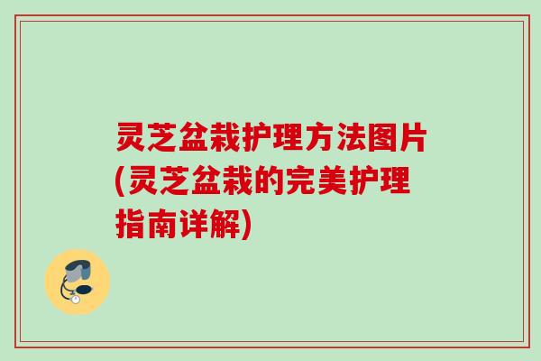 灵芝盆栽护理方法图片(灵芝盆栽的完美护理指南详解)