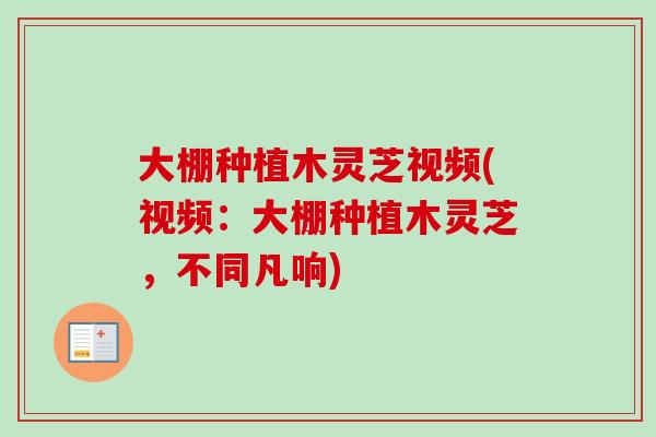 大棚种植木灵芝视频(视频：大棚种植木灵芝，不同凡响)