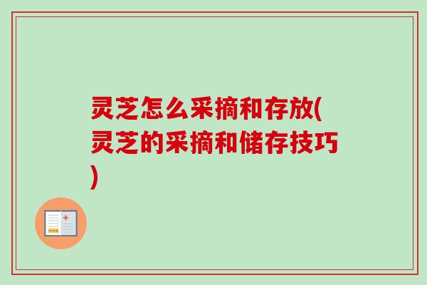 灵芝怎么采摘和存放(灵芝的采摘和储存技巧)