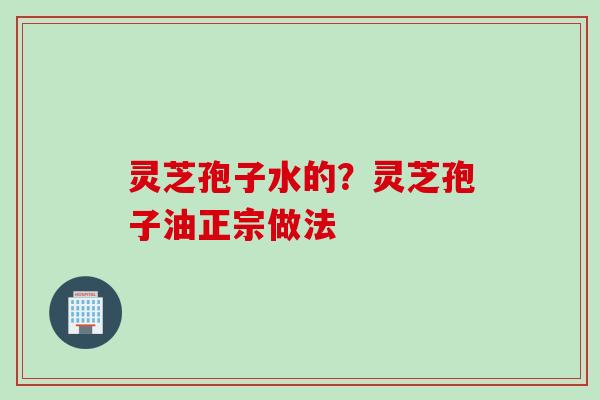 灵芝孢子水的？灵芝孢子油正宗做法