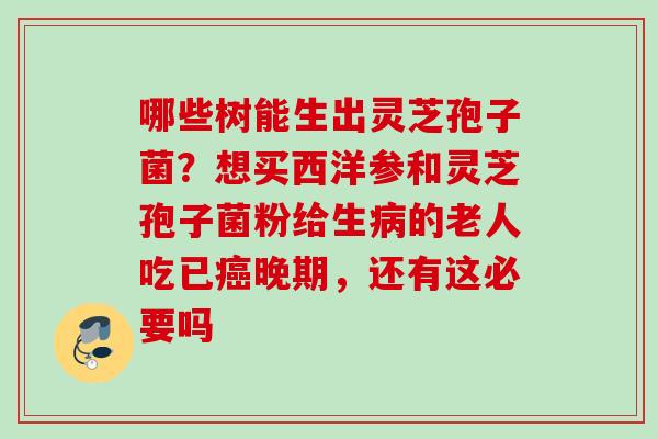 哪些树能生出灵芝孢子菌？想买西洋参和灵芝孢子菌粉给生病的老人吃已癌晚期，还有这必要吗